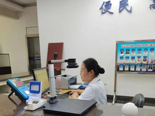 嘉興科技城大橋鎮(zhèn)便民服務(wù)中心公用事業(yè)服務(wù)窗口正式啟用，提供全域通辦與信息技術(shù)咨詢(xún)服務(wù)