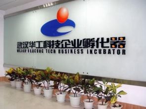 光谷孵化器眾創(chuàng)空間大閱兵 上篇——信息技術(shù)咨詢(xún)服務(wù)的新篇章